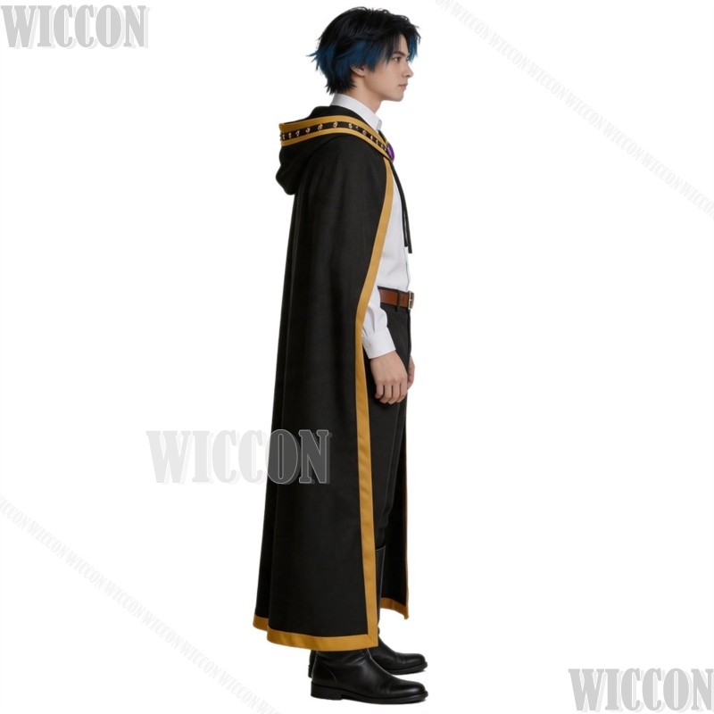 Wistoria Wand And Sword Will S - огляд і ціна Anime Cosplay Sword